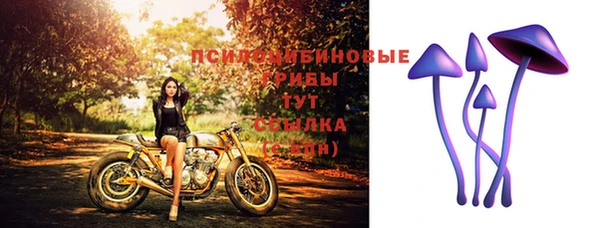 мяу мяу мука Верхнеуральск