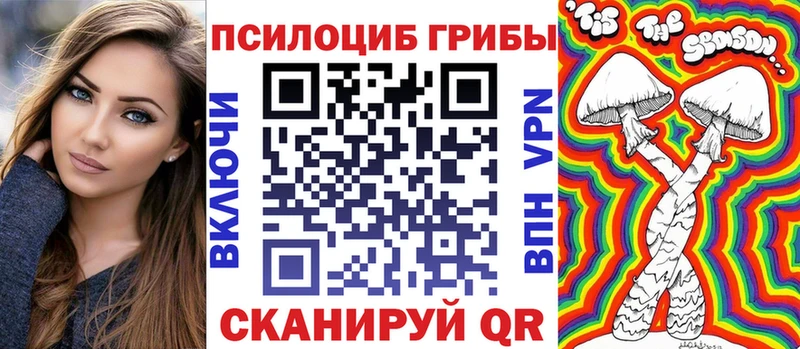 Галлюциногенные грибы Psilocybe  цены   дарк нет Telegram  Медногорск 