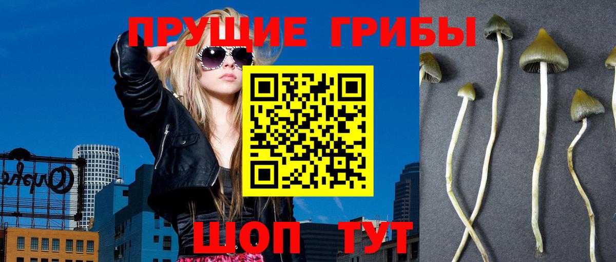 Галлюциногенные грибы мухоморы Медногорск