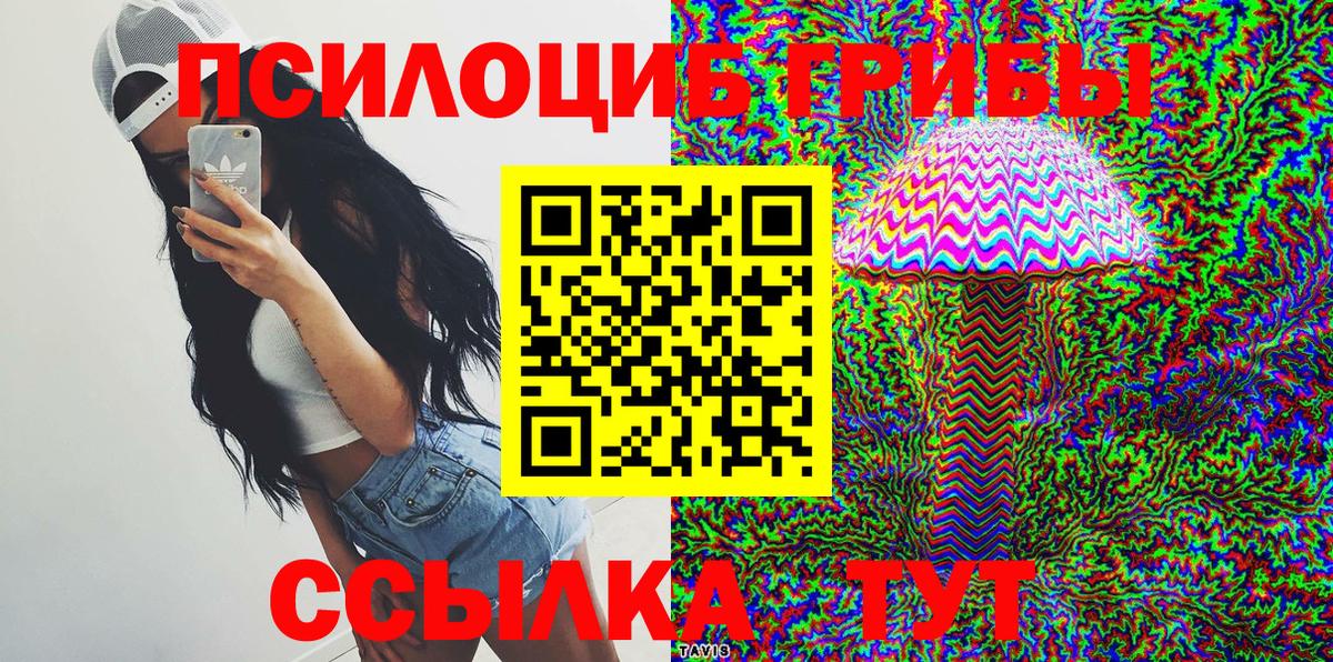 Медногорск  Галлюциногенные грибы мухоморы  Вход с VPN 